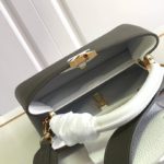 Louis Vuitton Capucines Small MM Bag - Gray - Image 2