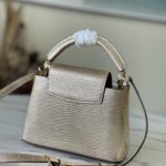 Louis Vuitton Lizard Mini Capucines Handbag - Golden - Image 5