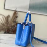 Louis Vuitton Medium-sized Capucines Ostrich Leather Handbag - Image 2