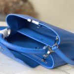 Louis Vuitton Medium-sized Capucines Ostrich Leather Handbag - Image 5