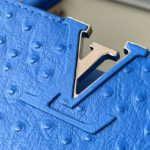 Louis Vuitton Medium-sized Capucines Ostrich Leather Handbag - Image 6