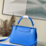 Louis Vuitton Medium-sized Capucines Ostrich Leather Handbag - Image 8