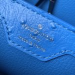 Louis Vuitton Medium-sized Capucines Ostrich Leather Handbag - Image 9