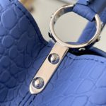 Louis Vuitton Crocodile Pattern Capucines Handbag - Fog Blue - Image 4