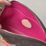 Louis Vuitton Presbyopia Pumpkin Large Cosmetic Bag - Image 8