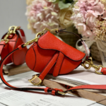 Dior Super Mini Saddle Bag - Orange