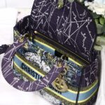 Dior Lady D Embroidery Series - Blue Constellation - Image 2