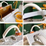 Goyard Grand Hôtel Suitcase Handbag - White - Image 2