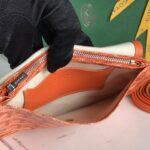 Goyard Plumet Three-Layer Bag - Orange - Image 2