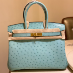 Hermes Ostrich Skin Hand Bag - Blue