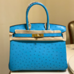 Hermes Ostrich Skin Hand Bag - Blue