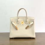 Hermes Birkin Gold Buckle Handbag - Milkshake White