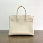 Hermes Birkin Gold Buckle Handbag - Milkshake White - Image 5