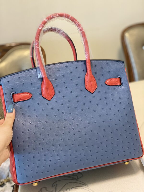 Hermes Ostrich Skin Hand Bag - Blue/Red - Image 3