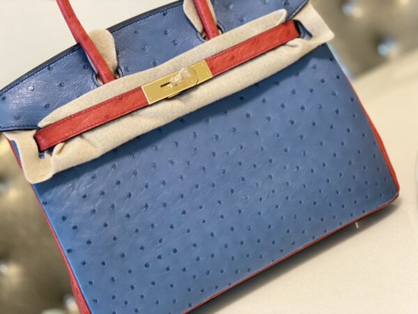 Hermes Ostrich Skin Hand Bag - Blue/Red - Image 5