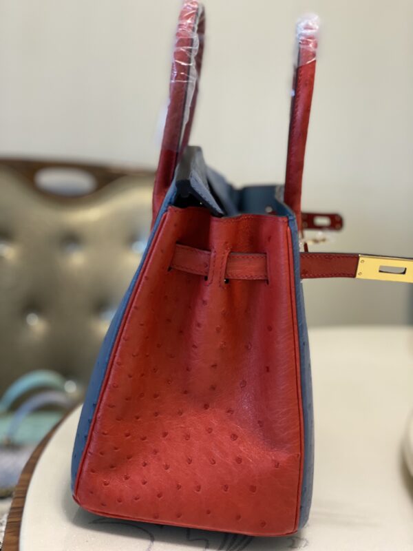 Hermes Ostrich Skin Hand Bag - Blue/Red - Image 4