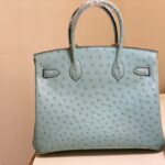 Hermes Ostrich Skin Hand Bag - Blue - Image 3