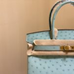 Hermes Ostrich Skin Hand Bag - Blue - Image 5