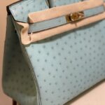 Hermes Ostrich Skin Hand Bag - Blue - Image 2