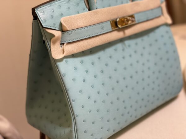 Hermes Ostrich Skin Hand Bag - Blue - Image 2