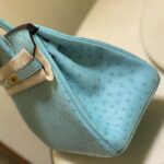 Hermes Ostrich Skin Hand Bag - Blue - Image 4