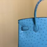 Hermes Ostrich Skin Hand Bag - Blue - Image 3