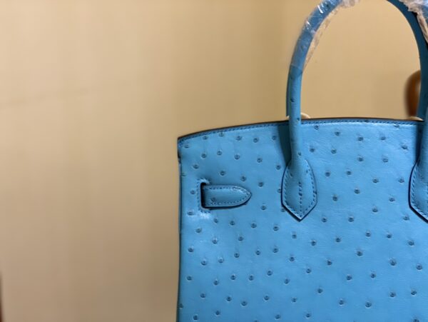 Hermes Ostrich Skin Hand Bag - Blue - Image 3