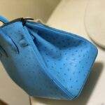 Hermes Ostrich Skin Hand Bag - Blue - Image 2