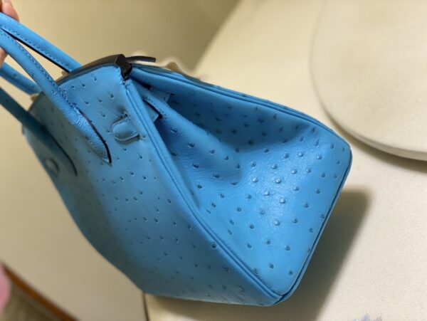 Hermes Ostrich Skin Hand Bag - Blue - Image 2