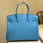 Hermes Ostrich Skin Hand Bag - Blue - Image 4