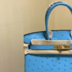 Hermes Ostrich Skin Hand Bag - Blue - Image 5