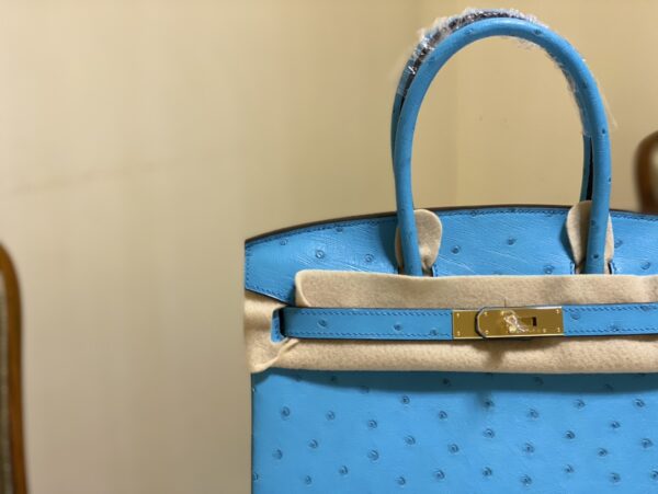 Hermes Ostrich Skin Hand Bag - Blue - Image 5