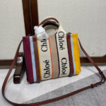 Chloe Rainbow Woody Small Tote Bag