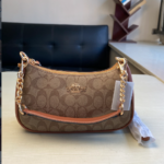 Coach Teri Armpit Bag - Brown
