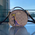 Coach C Family and Basquiat Joint Round Cake Bag