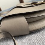 Chloe Darryl Elegant Light Gray Saddle Bag - Image 4