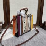 Chloe Rainbow Woody Small Tote Bag - Image 5