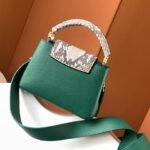 Louis Vuitton Ca Bucines BB Small handbag - Green - Image 4
